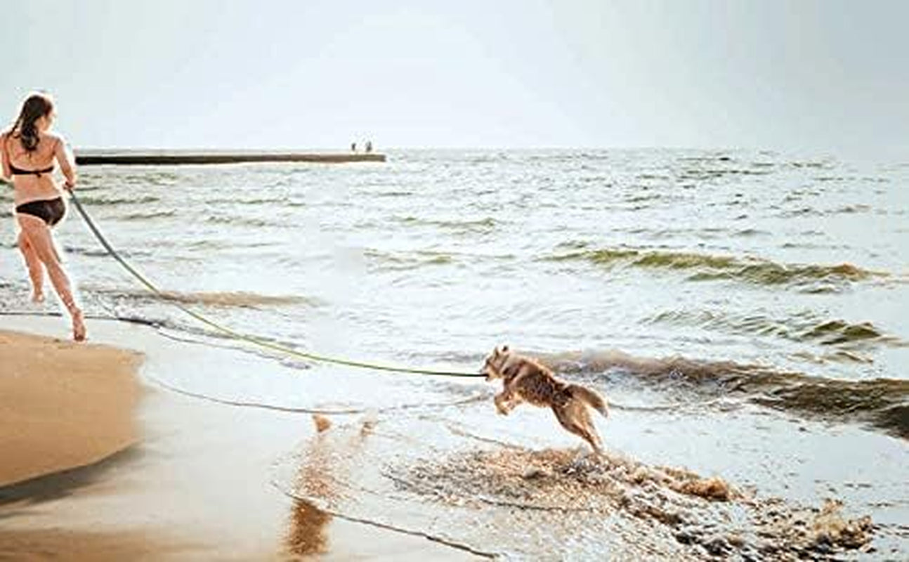 Long Dog Leash for Obedience and Recall Training - Available in 15FT, 20FT, 30FT, 40FT, and 50FT for Small to Medium Dogs - Ideal for Camping, Training, Play, and Backyard Use (20FT, Orange)
